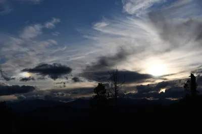 DSC_6807 (Large).JPG